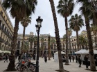 Palmen und Stadtkulisse am Plaça Reial während der Stadtführung